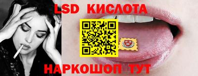 apvp Кингисепп