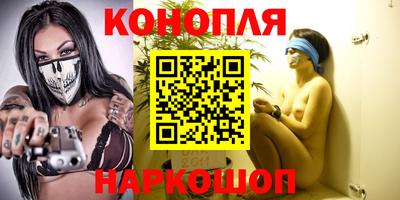 apvp Кингисепп